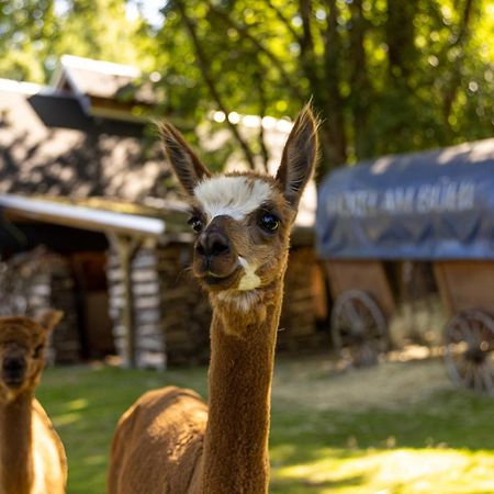 Hotel Am Buehl Eibenstock Eksteriør bilde